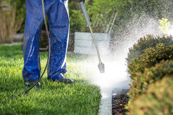 Curb Cleaning in Manassas