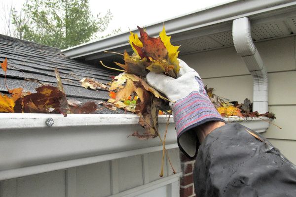 Eaves Cleaning in Manassas
